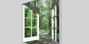 Can Cedar Be Used for Framing