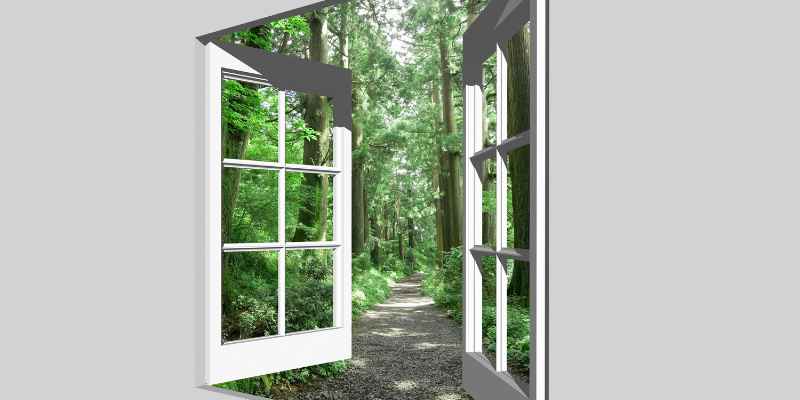 Can Cedar Be Used for Framing