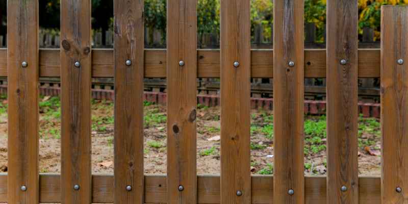 Can Cedar Be Used for Framing