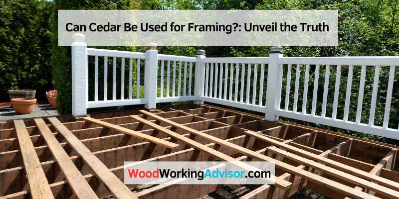 Can Cedar Be Used for Framing