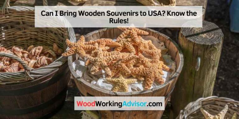 Can I Bring Wooden Souvenirs to USA