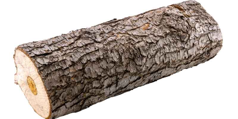 Can You Build With Palm Tree Wood