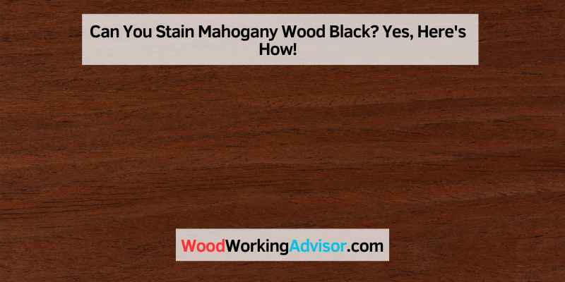 Can You Stain Mahogany Wood Black