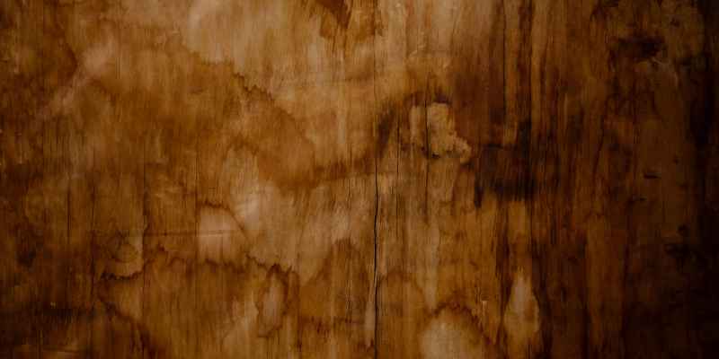 Can You Stain Plywood