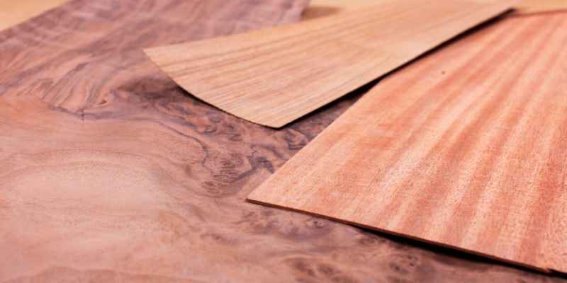 Can You Use Citristrip on Veneer