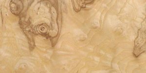 Can You Use Citristrip on Veneer