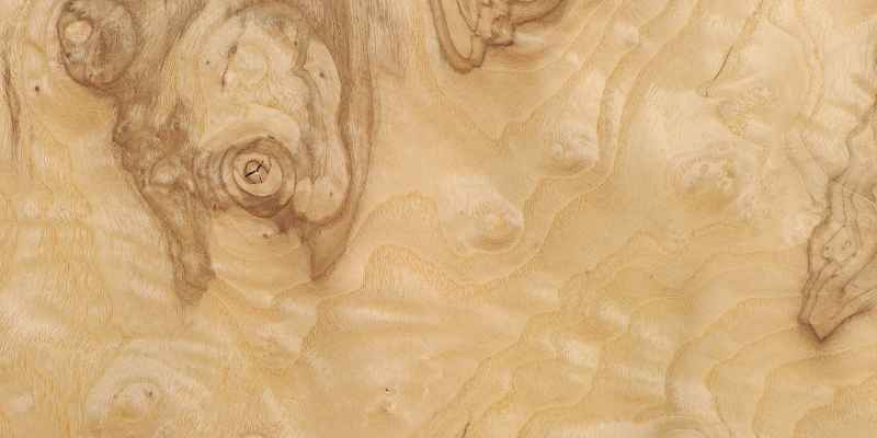 Can You Use Citristrip on Veneer