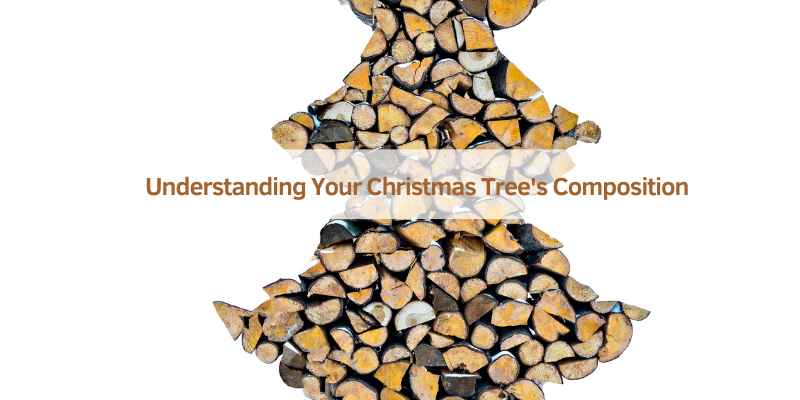 Understanding Your Christmas Tree's Composition