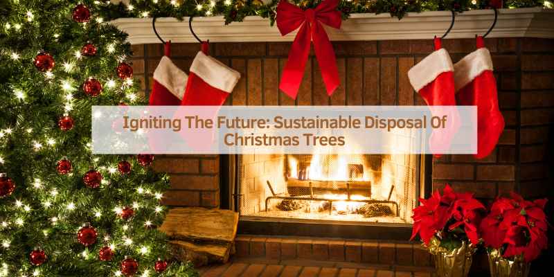 Igniting The Future: Sustainable Disposal Of Christmas Trees