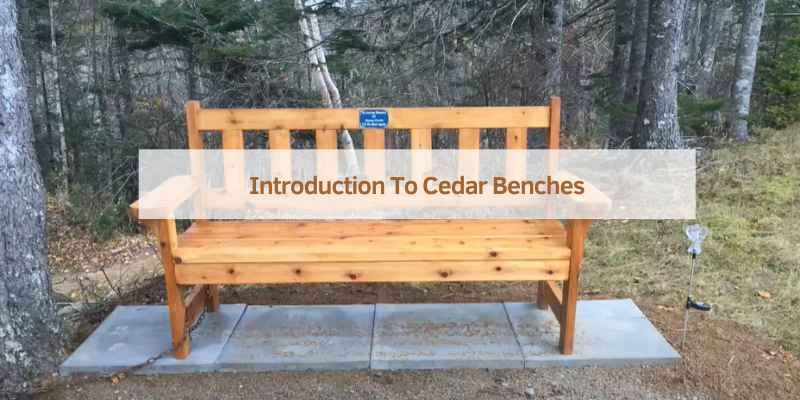Introduction To Cedar Benches