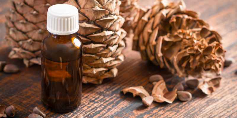 Cedar Benefits for Hair
