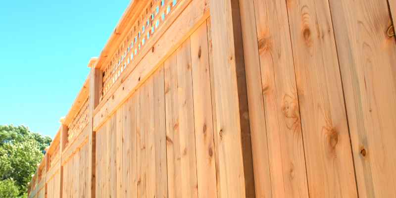 Cedar Vs Redwood Fencing