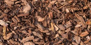 Compare Cedar and Cypress Mulch