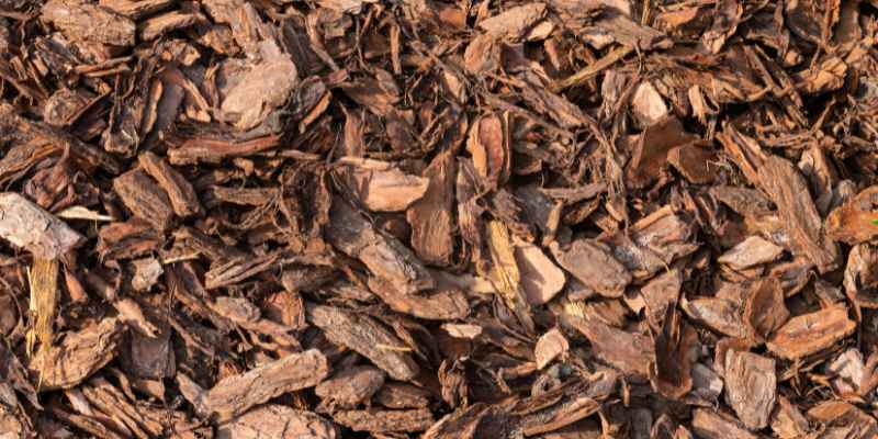 Compare Cedar and Cypress Mulch