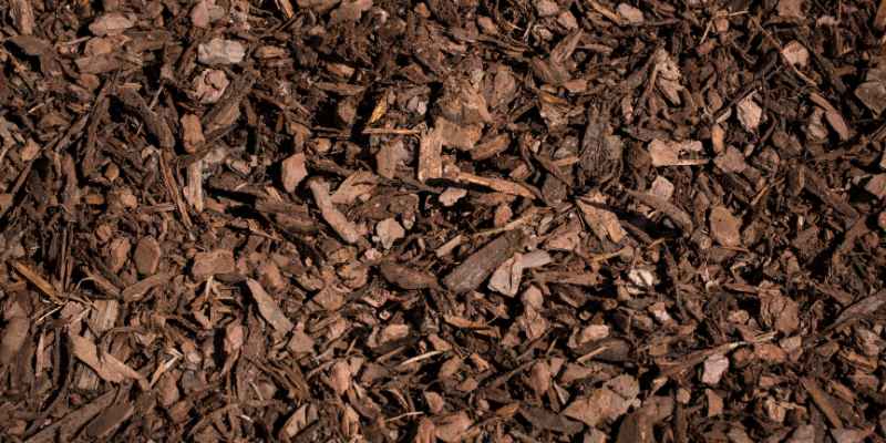 Compare Cedar and Cypress Mulch