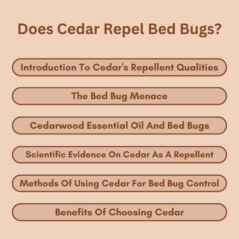 Does Cedar Repel Bed Bugs