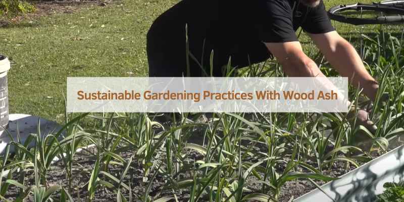 Sustainable Gardening Practices With Wood Ash