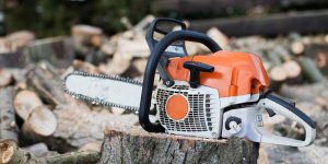 How Big of a Tree Can a 20-Inch Chainsaw Cut