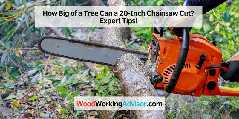 How Big of a Tree Can a 20-Inch Chainsaw Cut