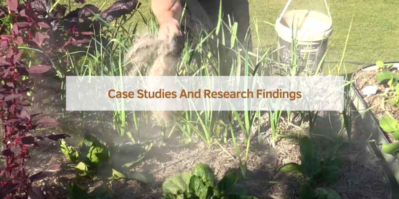Case Studies And Research Findings