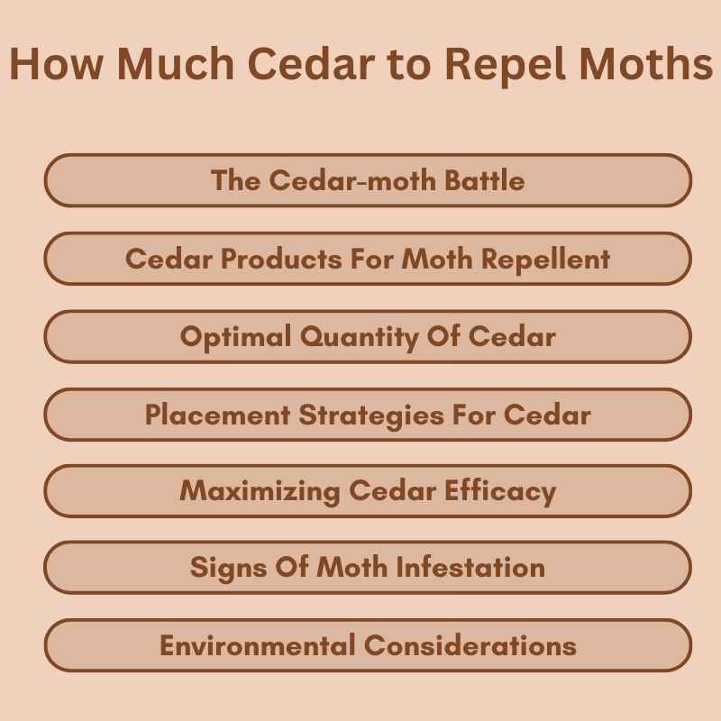 How Much Cedar to Repel Moths