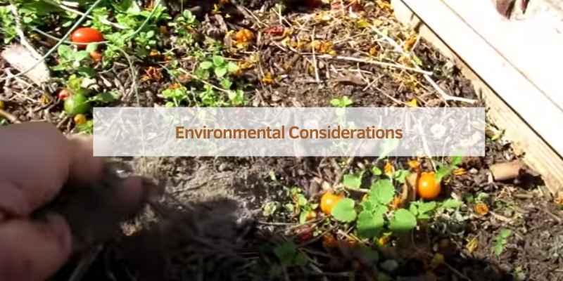 Environmental Considerations