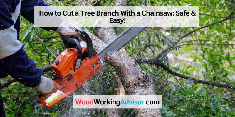 How to Cut a Tree Branch With a Chainsaw