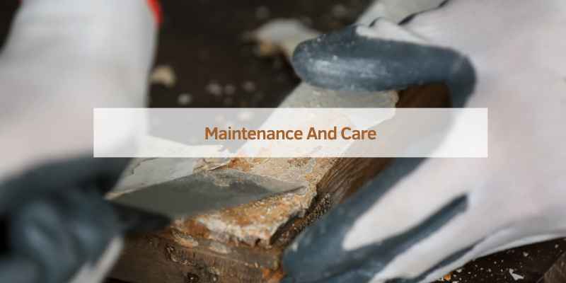 Maintenance And Care
