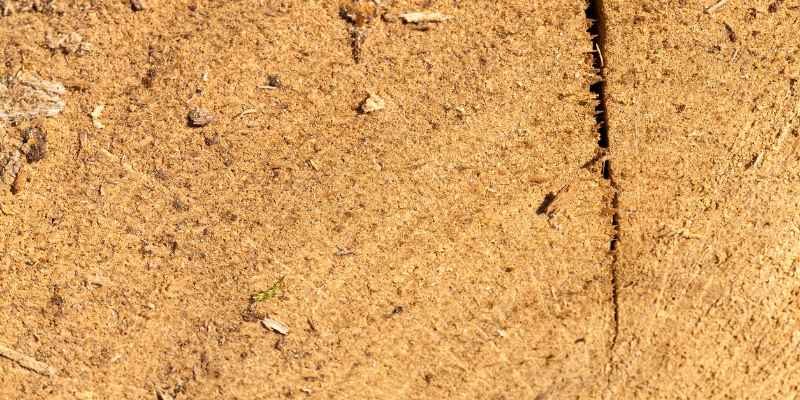 How to Repair Split Wood