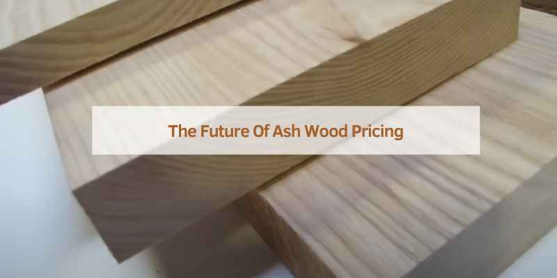 The Future Of Ash Wood Pricing