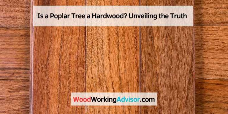 Is a Poplar Tree a Hardwood