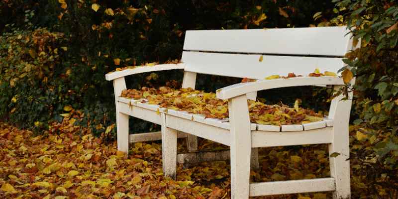 Plans for a Wooden Bench