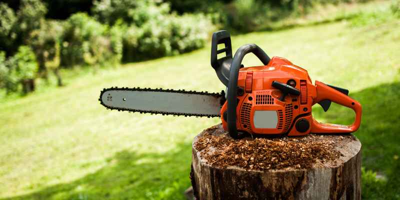 Professional Chainsaws