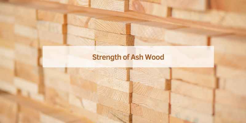 Strength of Ash Wood
