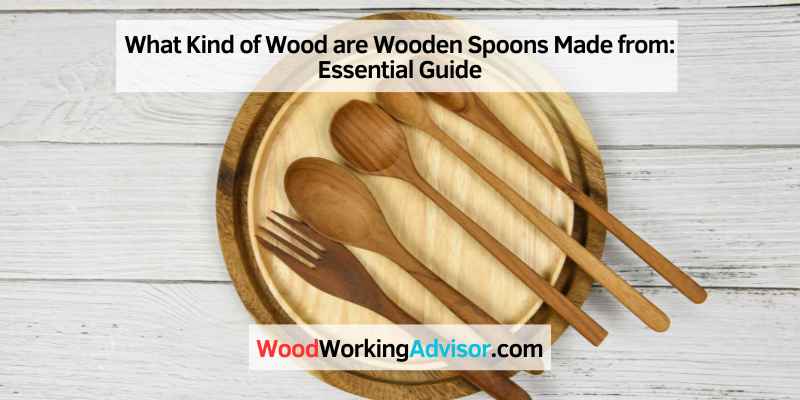 What Kind of Wood are Wooden Spoons Made from