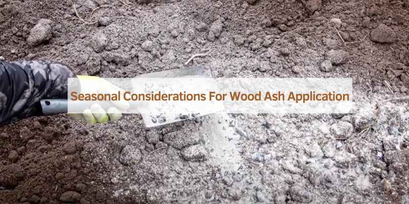 Seasonal Considerations For Wood Ash Application