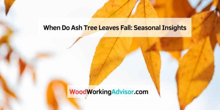 When Do Ash Tree Leaves Fall