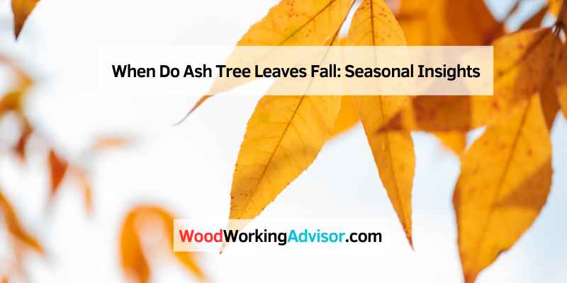 When Do Ash Tree Leaves Fall