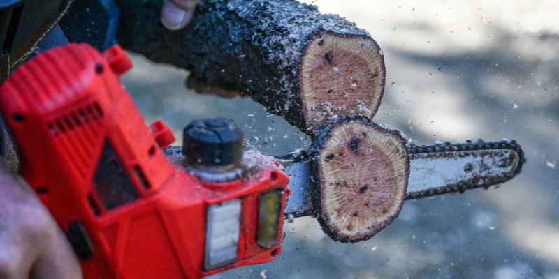 Why Did My Battery Chainsaw Stop Working