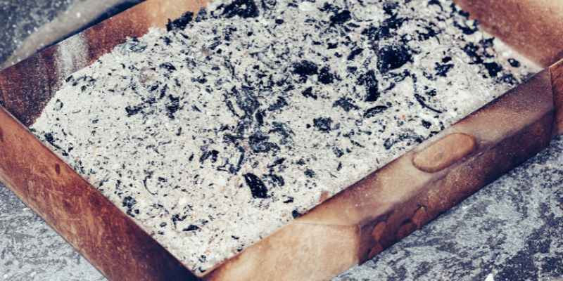 Wood Ash Benefits for Plants