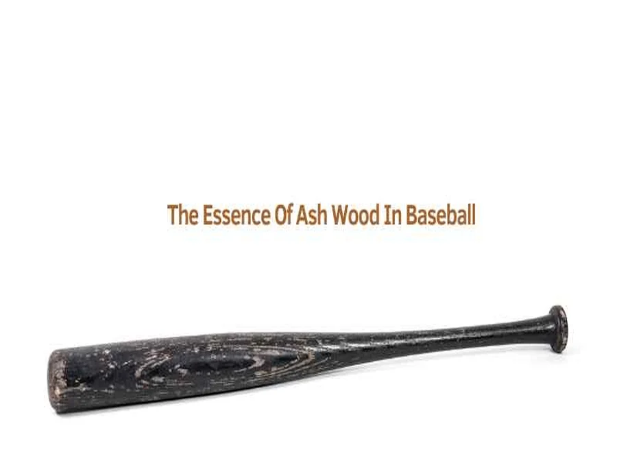Ash wood baseball bat close-up