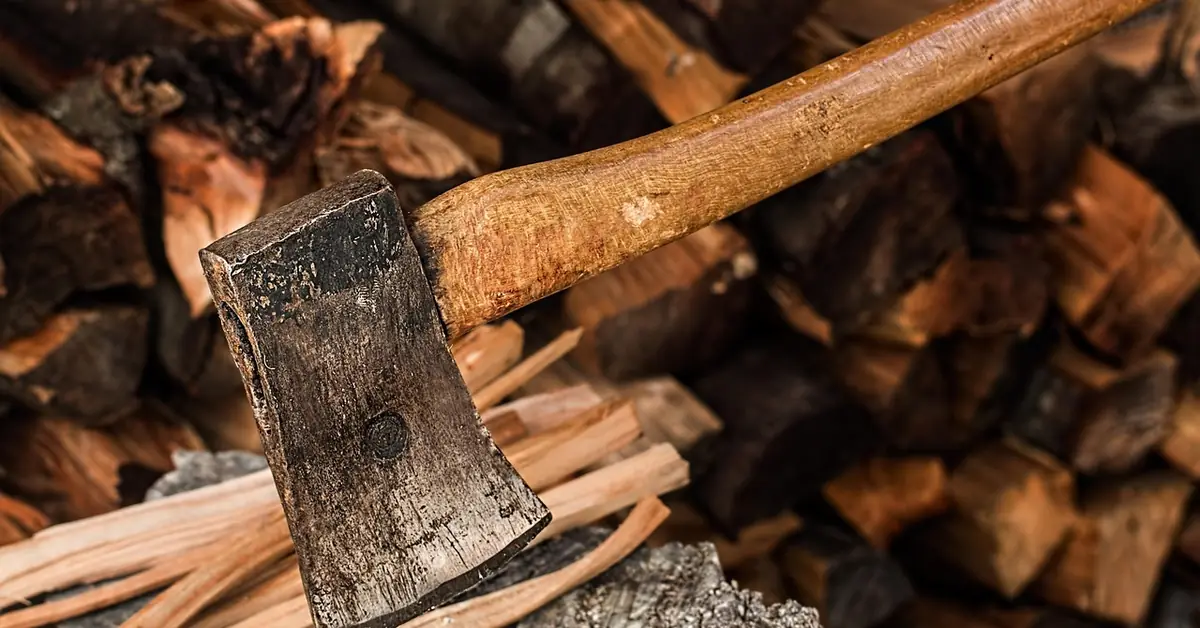 axe wedged into split ash firewood log ready for splitting