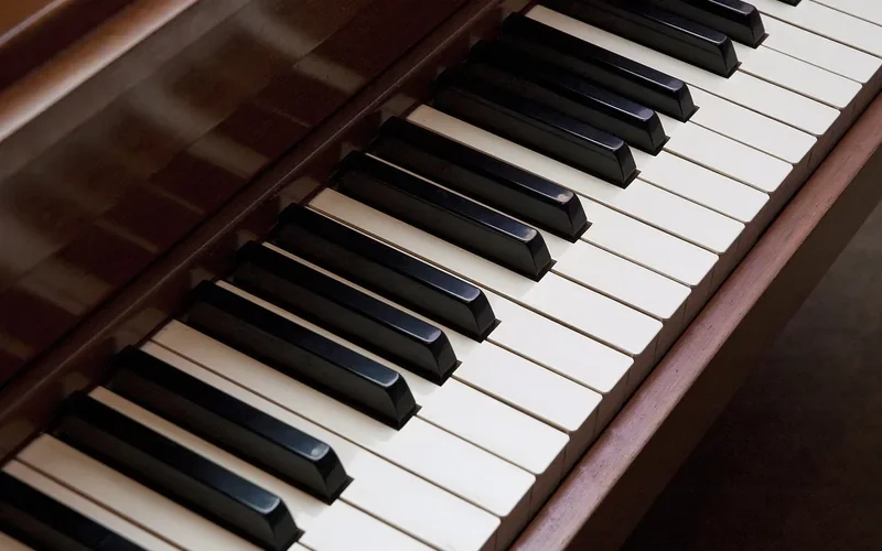 Black piano keys on an upright piano, a traditional use for ebony