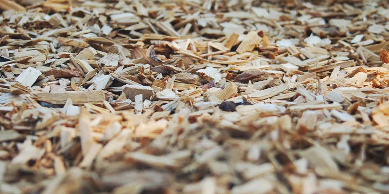 Bark and wood chip texture of cedar mulch whose natural oils can trigger allergic reactions