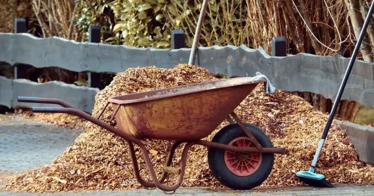 Wheelbarrow full of cedar mulch showing the volume and cost of a garden bed refill