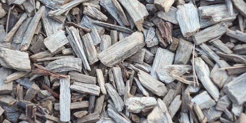 Close-up of shredded cedar mulch wood chips used to cover garden beds