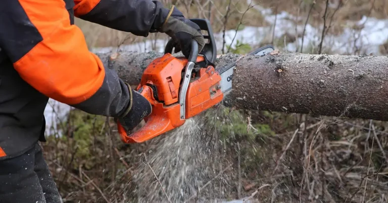 Chainsaw cutting through a tree branch outdoors, close-up on the engine housing and chain