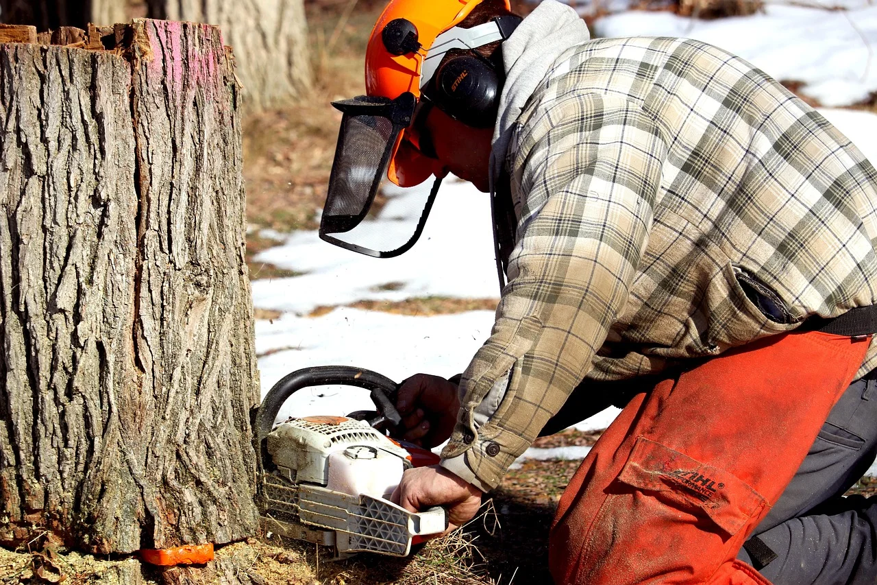 Chainsaw operator wearing full PPE: helmet with mesh face shield, ear protection, and cut-resistant chaps while bucking a log