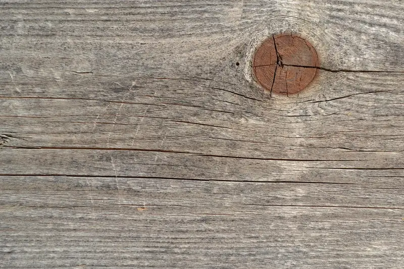 Weathered wood board with a knot and small cracks along the grain Weathered wood board with a knot and small cracks along the grain