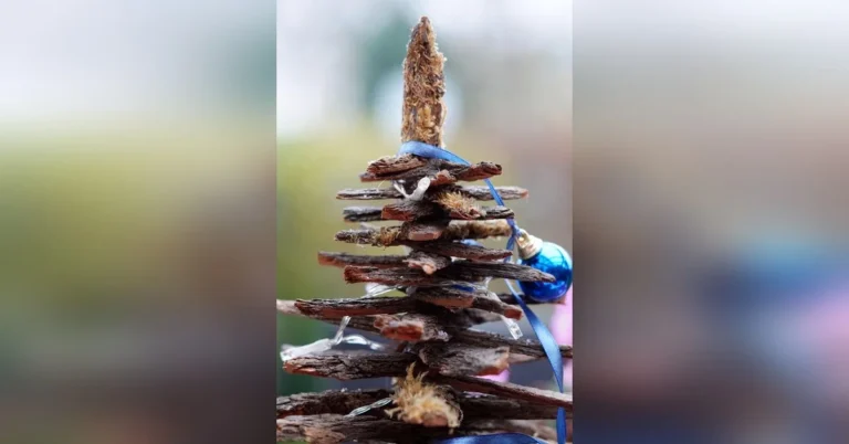 DIY wood Christmas tree ornament made from stacked bark slices with ribbon